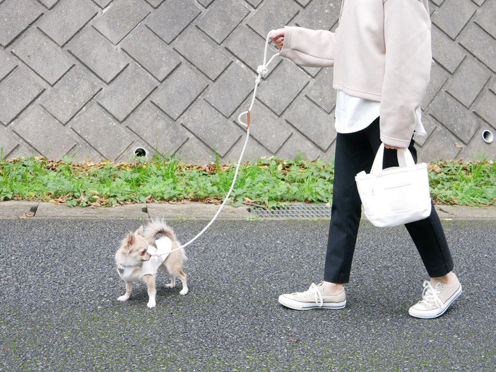 TOOLS FOR THE DOGの手染めドッグリーシュを着用した小型犬が飼い主と一緒に公園で散歩している姿