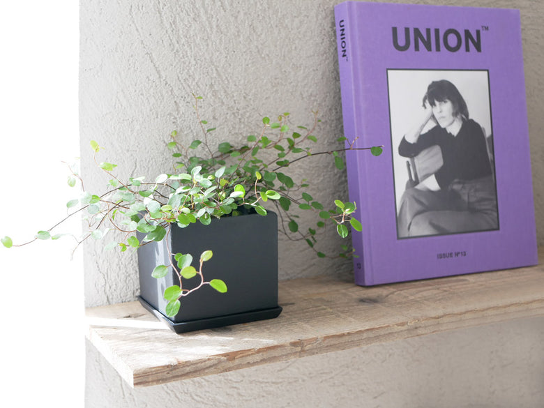 POSH LIVINGのアルミ製ポット＆プレートセット