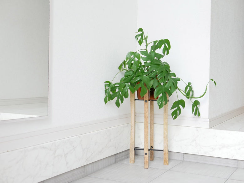 ポッシュリビングの折りたたみ式ポットスタンドと花