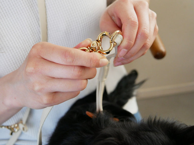 Horn Please MADEのヴィーガンレザー製小型犬用DOGリード、幅1.2cm、長さ200cm