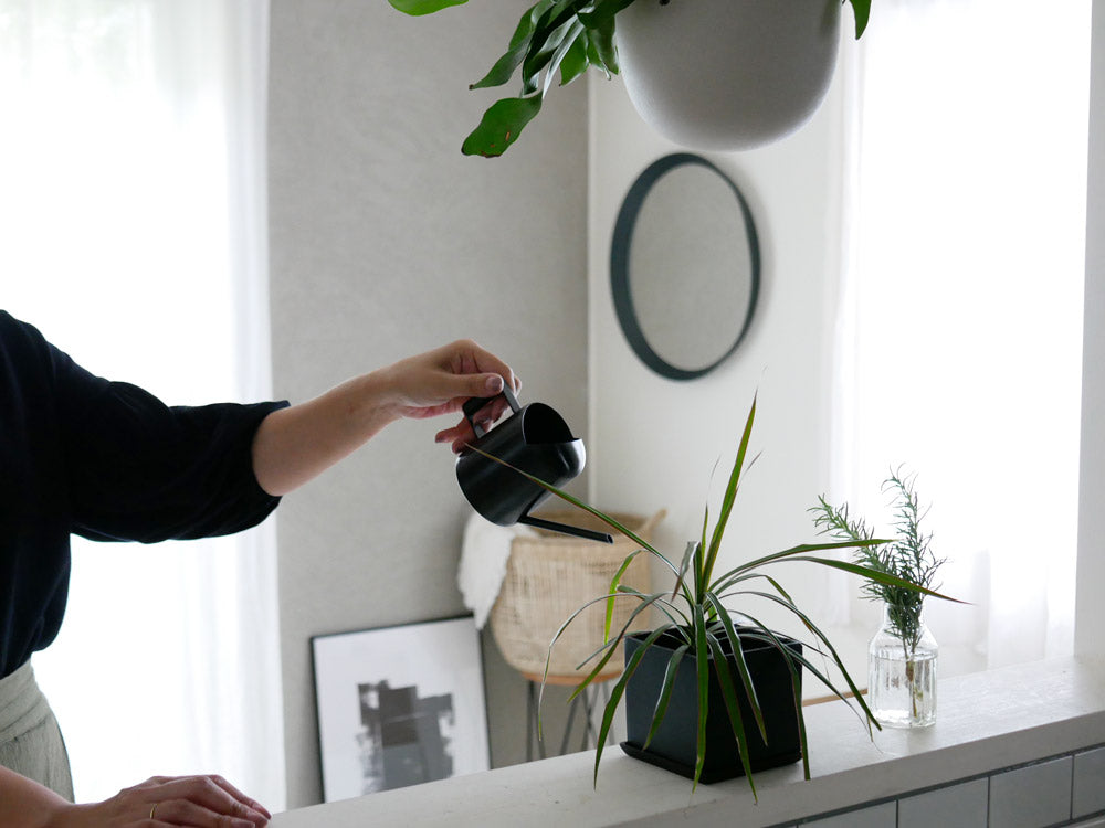 ダルトンのステンレス製園芸用水差し270ml