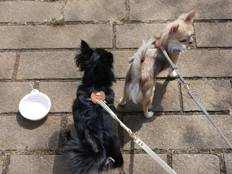 Horn Please MADEのヴィーガンレザー製小型犬用ハーネス。約30〜40cmの胴回りにフィットするデザイン。