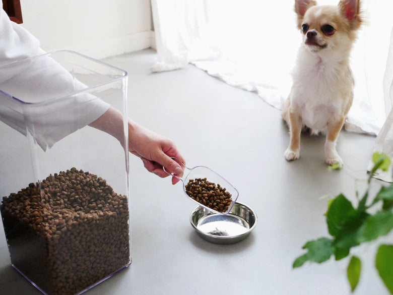 OXO（オクソー）のPOP2シリーズであるビックスクエアミディアム、ビックスクエアトール、ポップスクープ、ライスカップがキッチンカウンターに整然と並んでいる写真