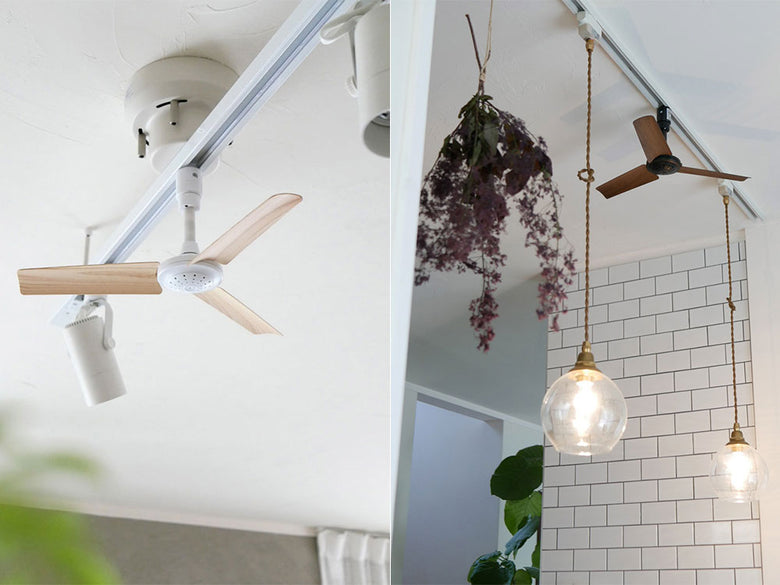 天井に取り付けられたBRIDダクトレールファン DCプラス Φ50と観葉植物が調和する自然派照明インテリア