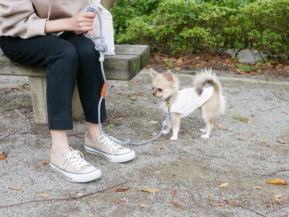 TOOLS FOR THE DOGブランドの手染めドッグリードを装着した犬と飼い主が公園で散歩している様子