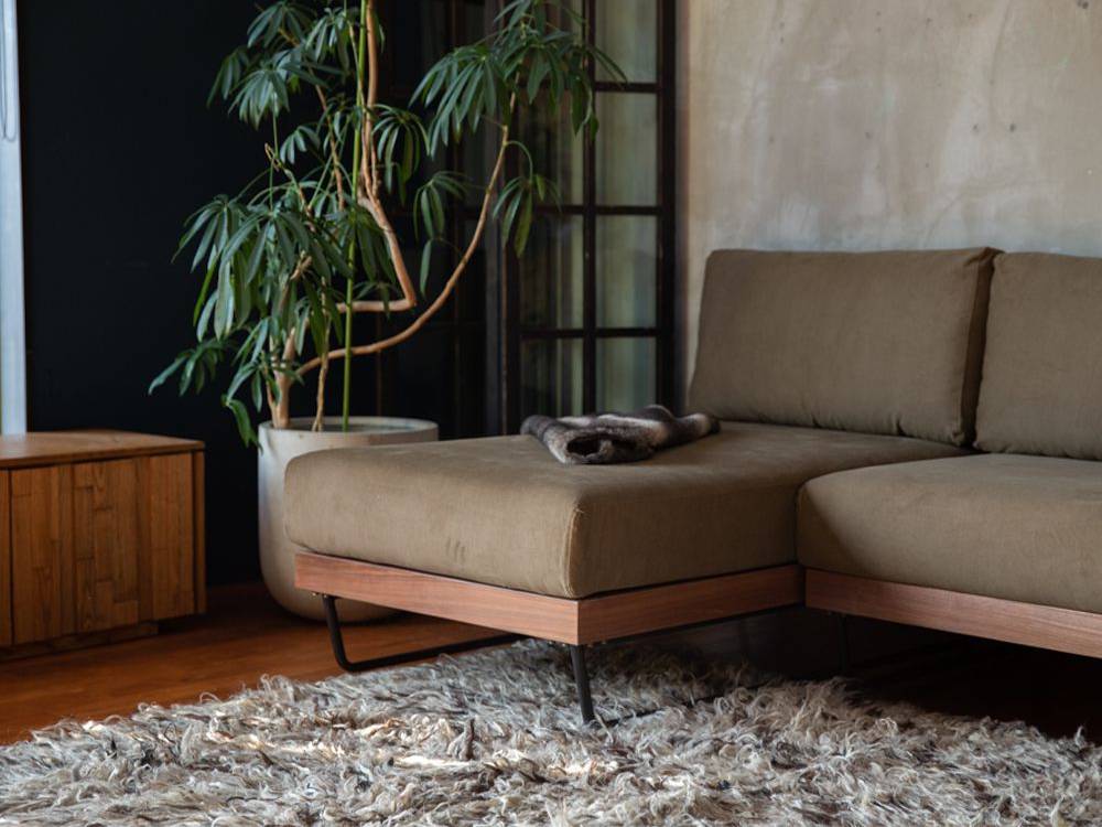 木製フローリングのリビングルームに置かれたアデペシュのウェルメカウチソファと観葉植物