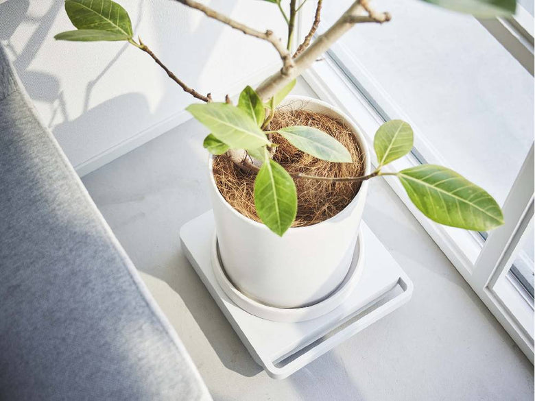 タワー型自立台車に花鉢や観葉植物、ハーブが配置されている様子