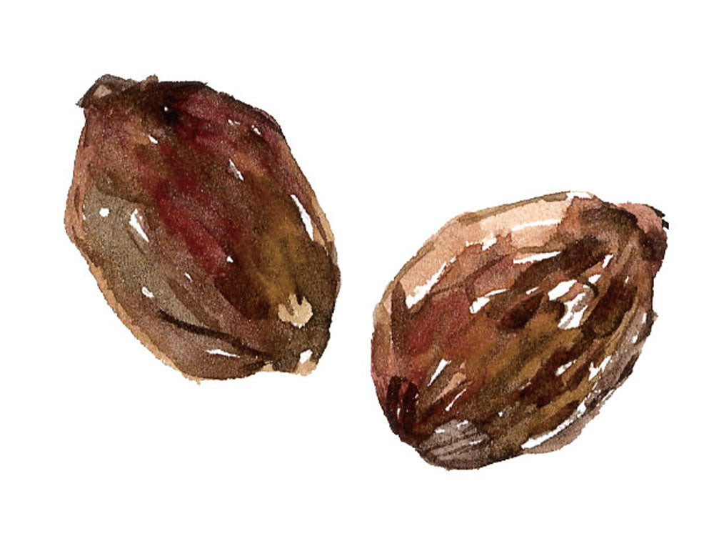 ママバター UVカットクリームに使用されるナッツや種子などの天然食材の写真