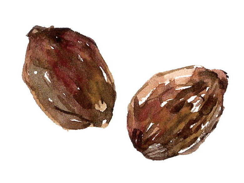 ママバター UVカットクリームに使用されるナッツや種子などの天然食材の写真