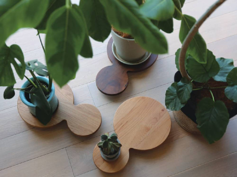 高野木工のホワイトオーク製シングル24プランターベースに鉢植えが載っている様子