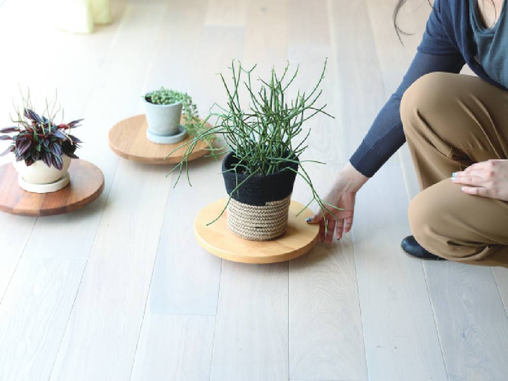 高野木工】PLANTER BASE プランターベース｜【公式】ひなたライフ