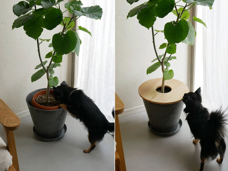 amabroアマブロの土が隠せるウッドプラントテーブル上に配置された花鉢と花瓶に入った観葉植物、ブドウのつる