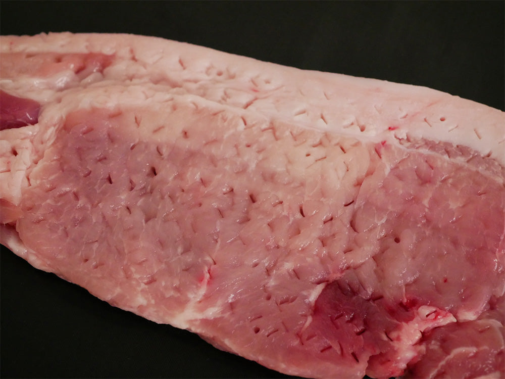 協和工業】お肉を柔らかくする ニクサスプロ 2個組｜【公式】ひなた