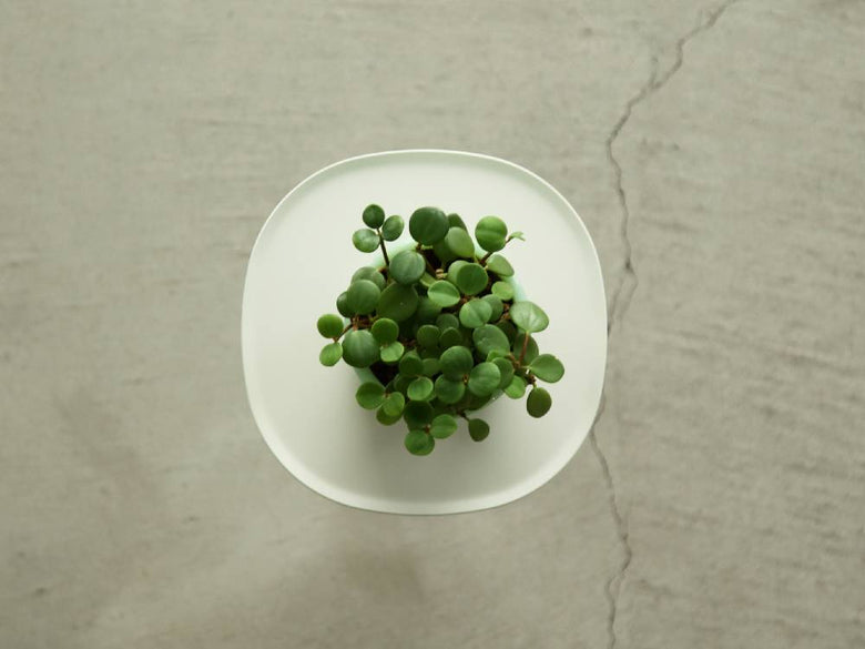 イデアコのスチール製サイドテーブル23の上に楕円形の陶磁器と石器の食器が配置された様子