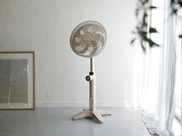 シャンパンゴールド