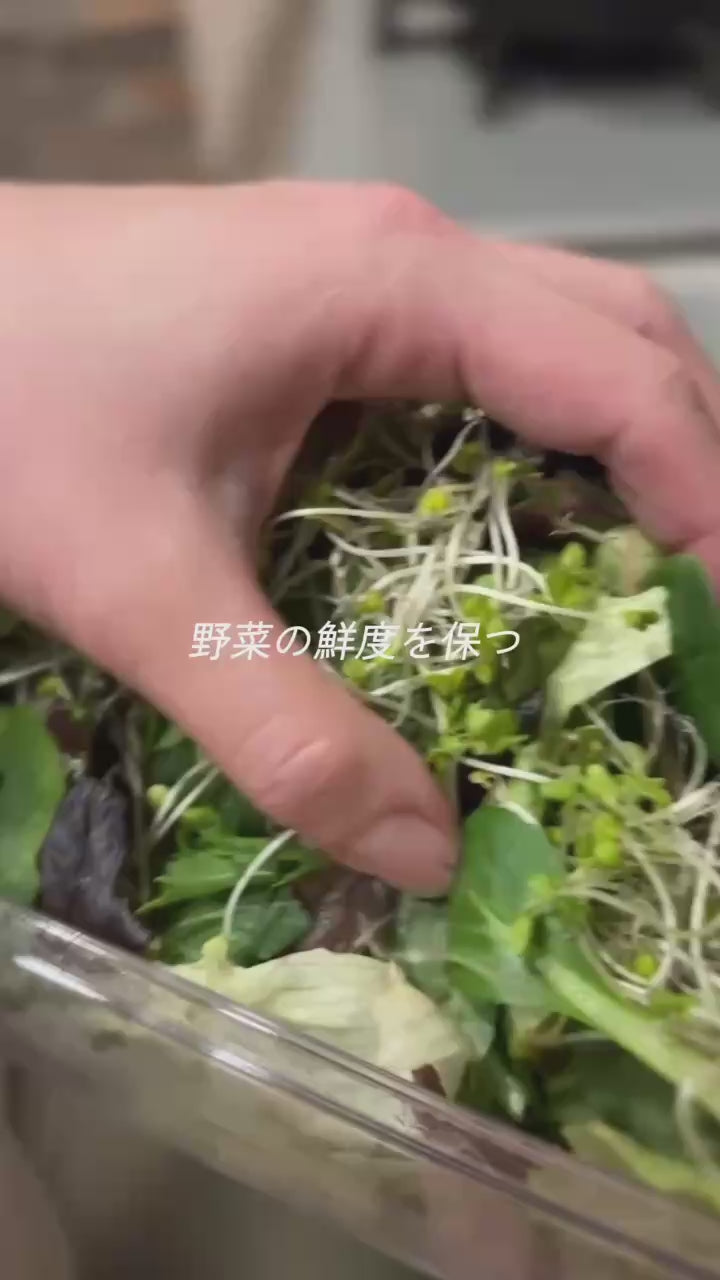 動画を読み込む: 