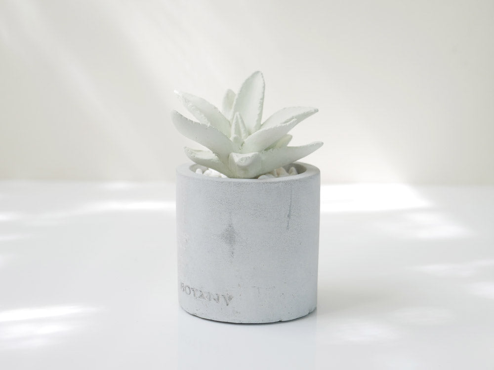 DULTON AROMA DIFFUSER VASE 5B 2個セット ディフューザー アロマ ハイドランジア 花 ダルトン DULTON （ アロマ
