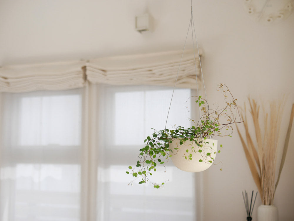 【KINTO/キントー】プラントポット