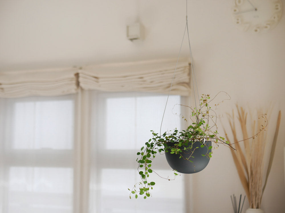 【KINTO/キントー】プラントポット