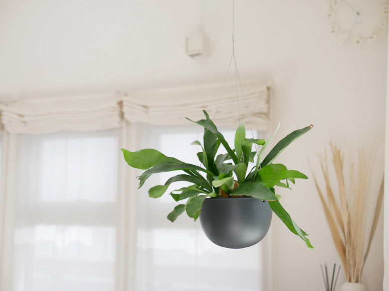 【KINTO/キントー】プラントポット