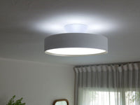 ホワイト/シャンパンゴールド / 4000