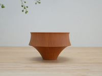 プレーン / 富士