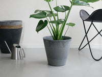 プラントポット / Mサイズ / グレー